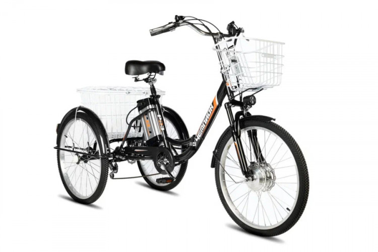 Электровелосипед РВЗ Чемпион 24 складной в Екатеринбурге