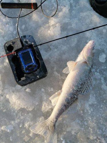 Эхолот Практик 8 в Екатеринбурге