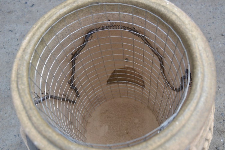 Тандыр Электрический Малый в Екатеринбурге