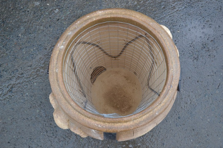 Тандыр Электрический Баран в Екатеринбурге