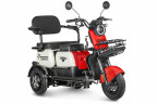 Электротрицикл Rutrike Gelbert Vega в Екатеринбурге