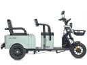 Пассажирский электротрицикл Wanshida LC-F150 в Екатеринбурге