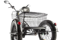 Электрофэтбайк Eltreco Green City e-ALFA Trike Электрофэтбайк Eltreco Green City e-ALFA Trike