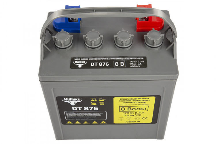 Тяговый аккумулятор RuTrike WET DT876 (T-875) 8V120A/H C3 в Екатеринбурге