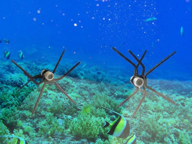 Видеокамера для рыбалки SITITEK VSH 4 в Екатеринбурге