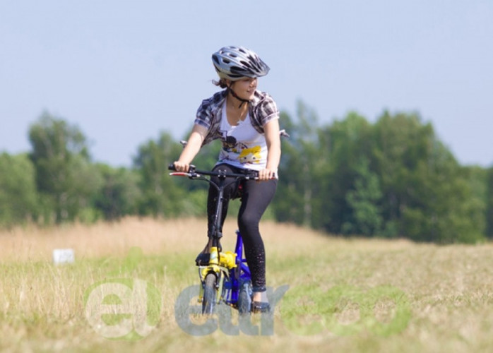 Green City Teddy в Екатеринбурге