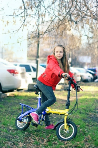 Green City Teddy в Екатеринбурге